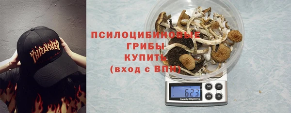 эйфоретик Осинники