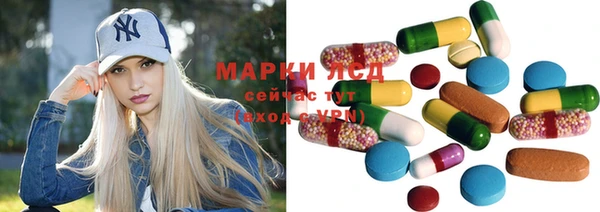 мдпв Осташков