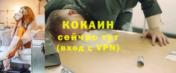 мет Пересвет