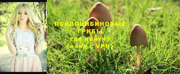 мдпв Осташков
