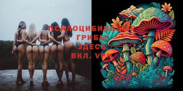 мдпв Осташков