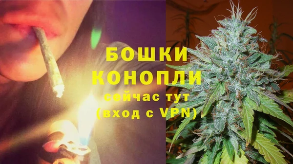 мет Пересвет