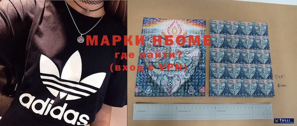 мдпв Осташков