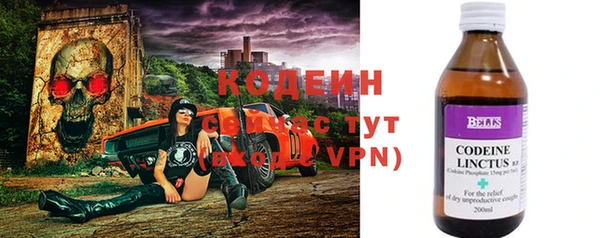 мдпв Осташков