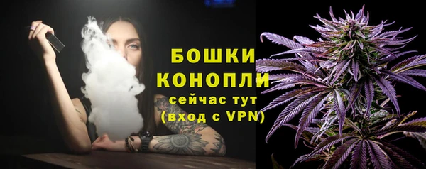 мет Пересвет