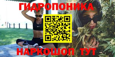 spice Гай