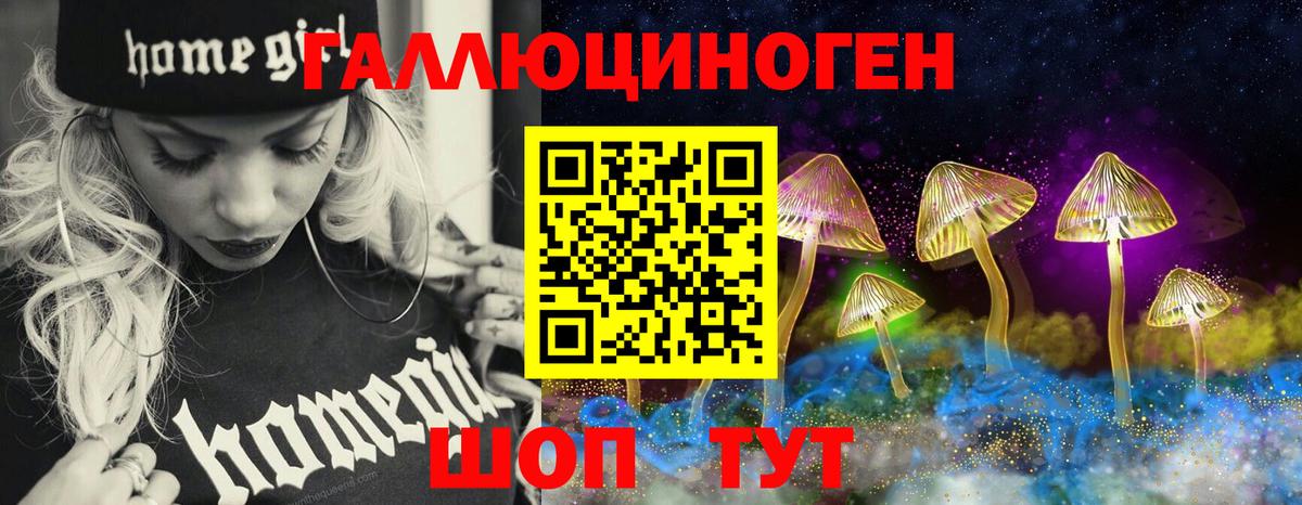 Галлюциногенные грибы Cubensis Клинцы