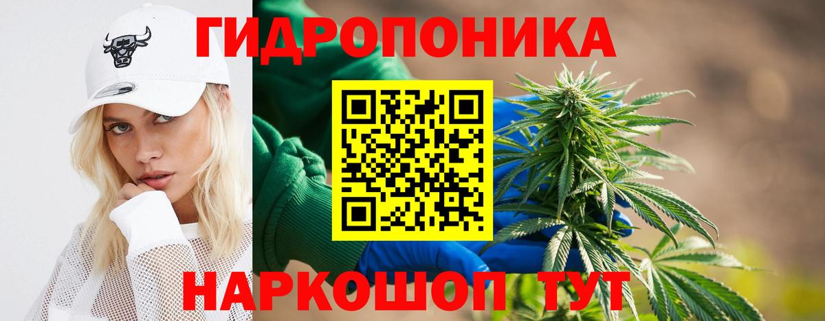 Шишки марихуана Ganja  Вход с VPN  МАРИХУАНА Bruce Banner  Клинцы  Конопля сатива 